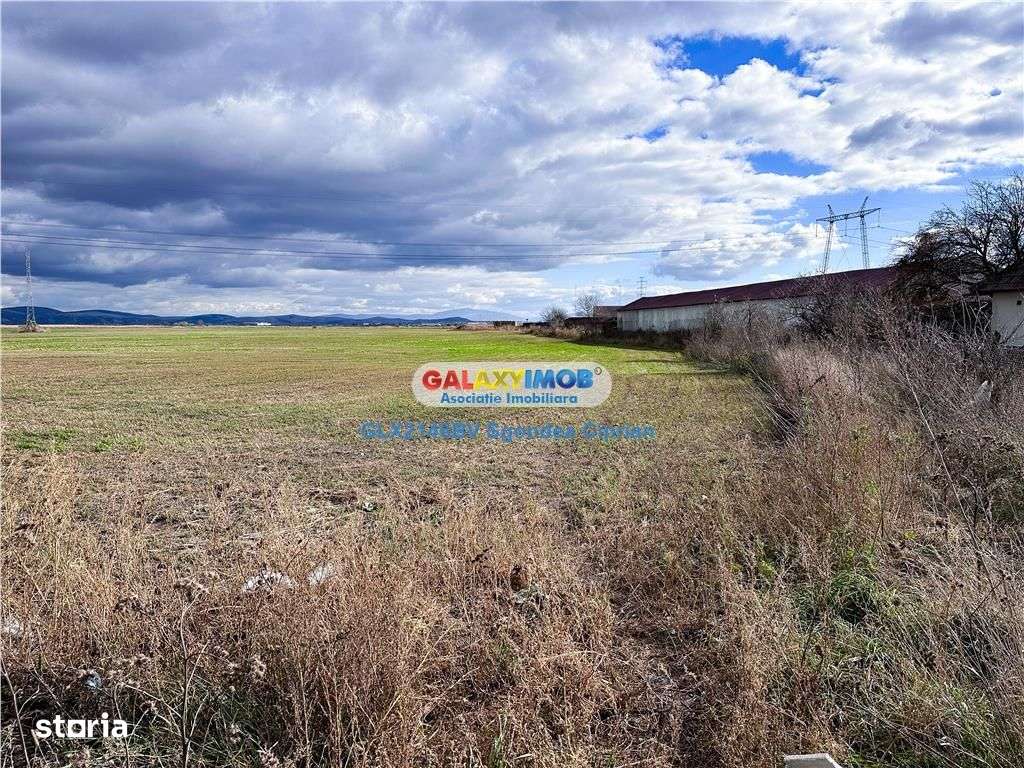 Teren Halchiu 5000 mp cu utilitati si puz - Imagine principală: 5/8