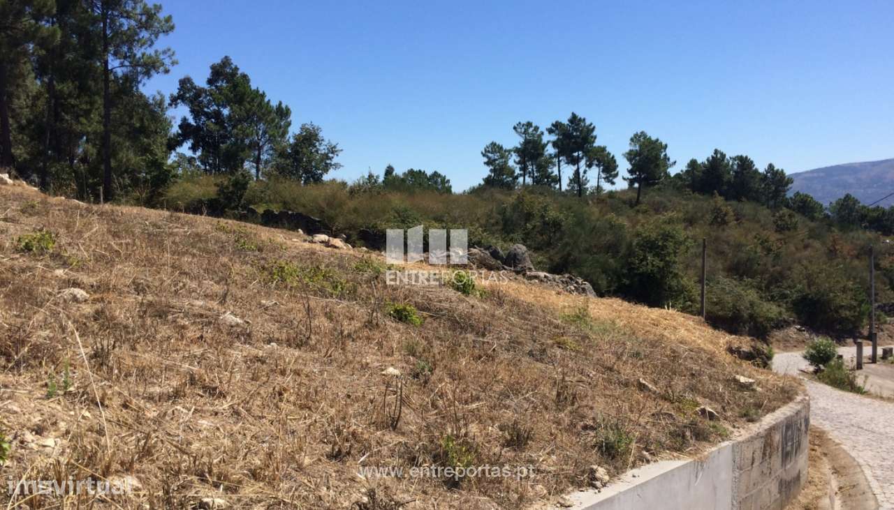 Venda Terreno, Valadares, Baião - Grande imagem: 5/30