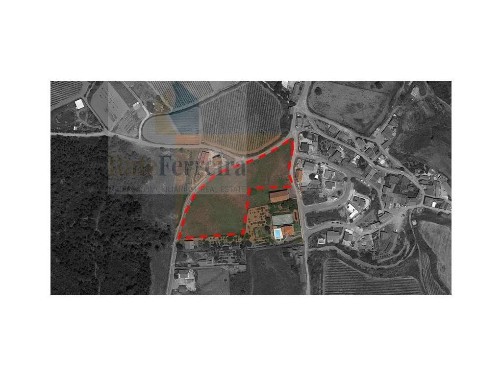 Amplo terreno urbanizável !! - Grande imagem: 5/14