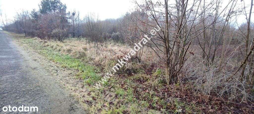 ⭐⭐⭐⭐ Działka Budowlana 4851 M Budy Grzybek ⭐⭐⭐⭐-3