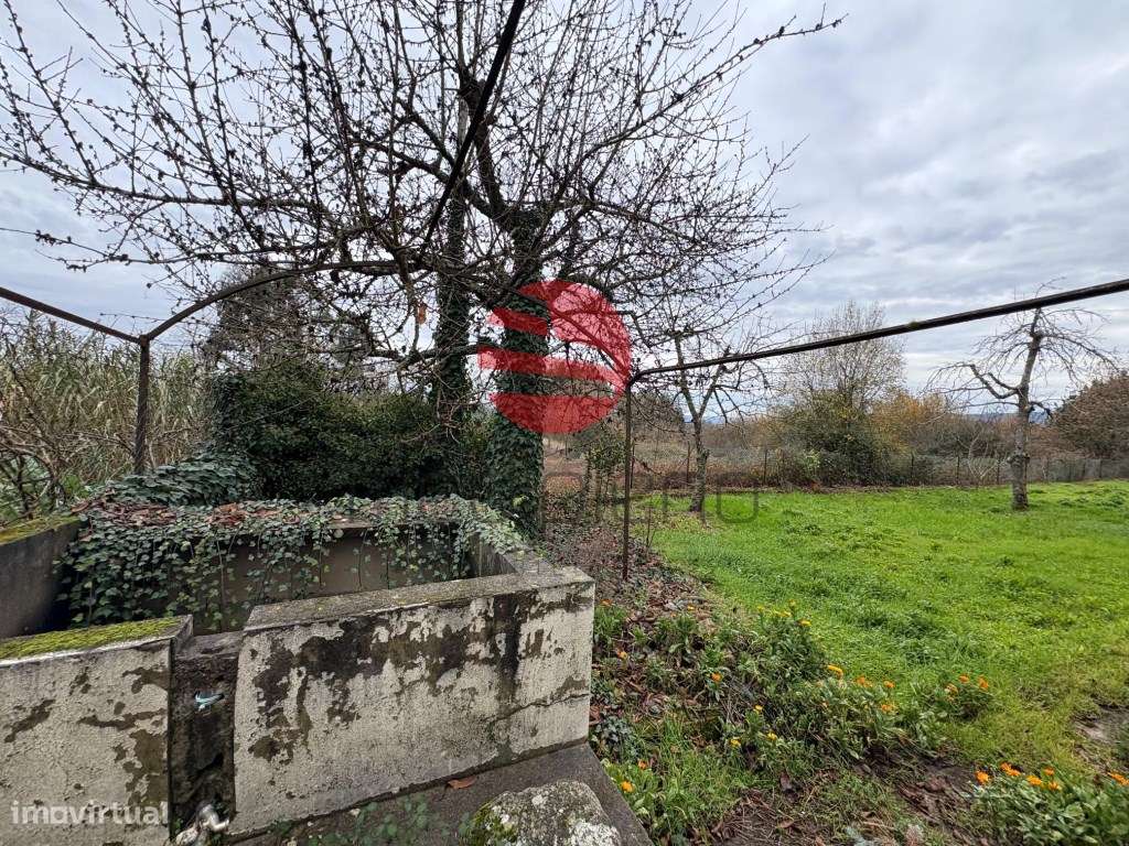 Moradia Bi-Familiar T8 Venda Moimenta da Beira-42