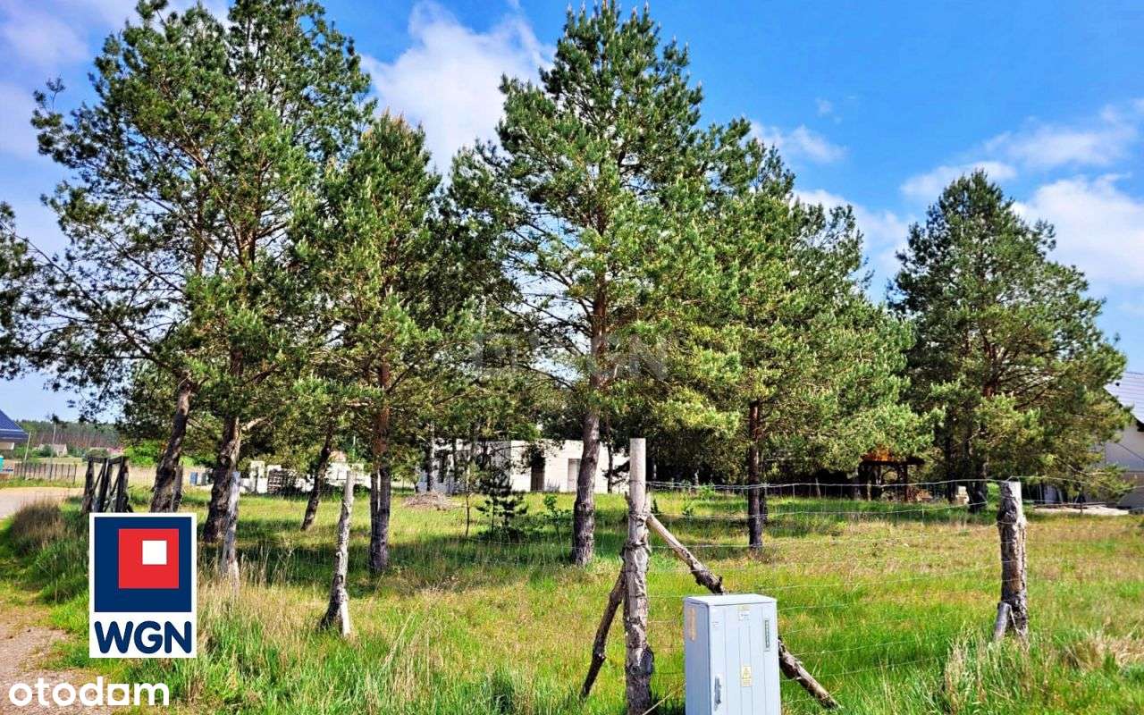 Działka budowlana w Rybakowie, pośród lasów i jezi - Pełny obrazek: 5/10