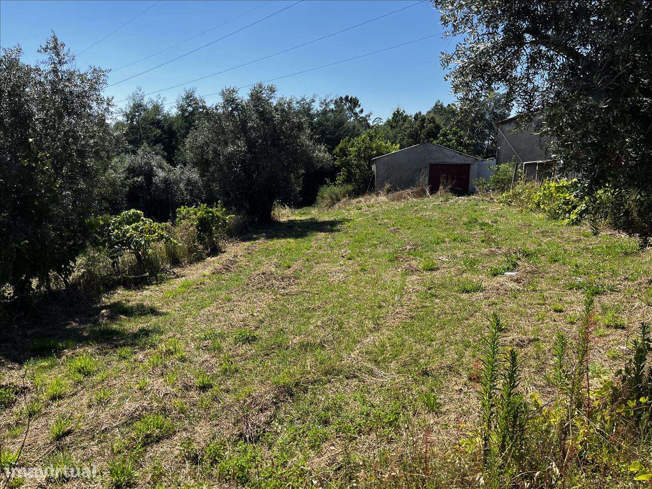 Terreno para Venda - Arrifana, Vila Nova de Poiares-6