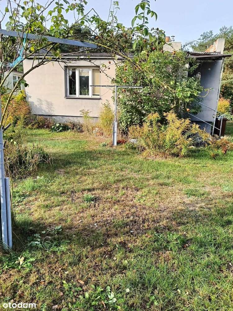 Dom parterowy z potencjałem - Pełny obrazek: 4/8