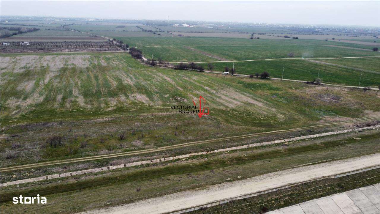 Teren extravilan 5.800 mp in Cornetu, ideal pentru investitie - Imagine principală: 5/6