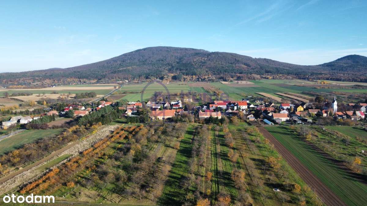 Działki Rolne  | Sady | Mysłaków (opcja dzierżawy) - Pełny obrazek: 4/4