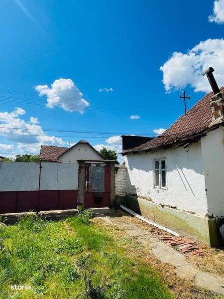 Casa cu gradina mare in Macea - Imagine principală: 4/8