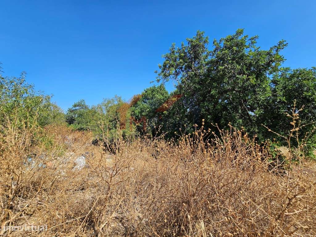 Moradia tradicional V5 para recuperar com terreno de 31.000 m2 - Loulé-7