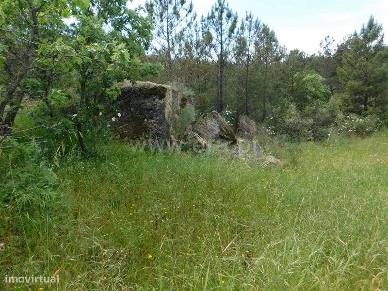 Terreno / Fundão, Vale Prazeres - Grande imagem: 2/11