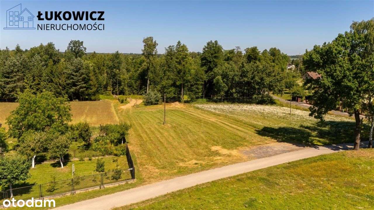 Działka 3057 m² w sąsiedztwie lasu! Dankowice-9