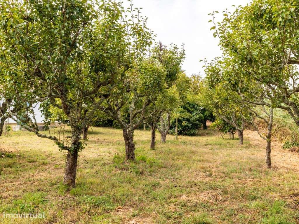 Magnífica Moradia Térrea T3+2 de estilo tradicional com terreno de ...-39