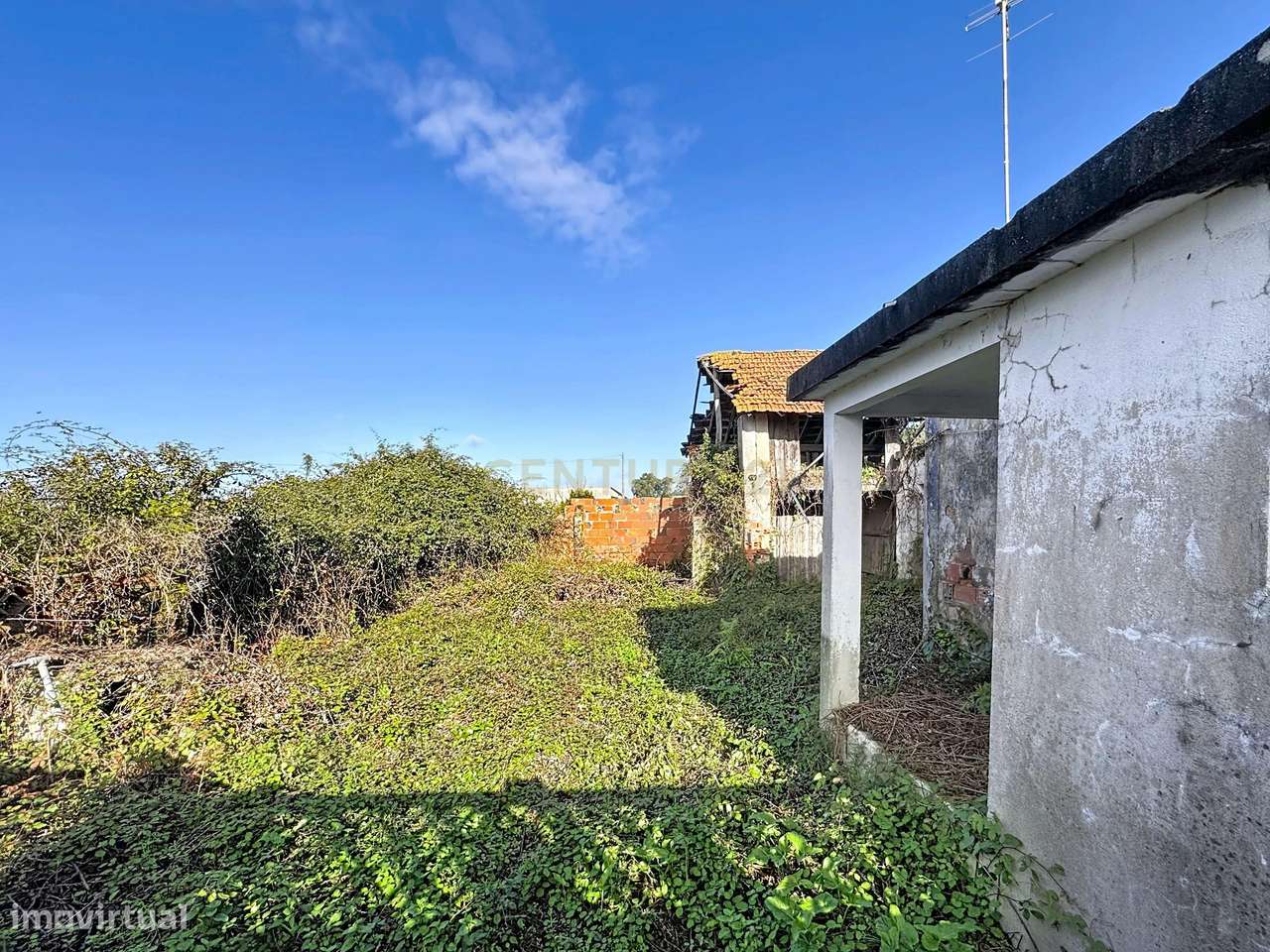 Casa em Ruínas para Recuperação com terreno | Coz, Alpedriz e Montes,-7