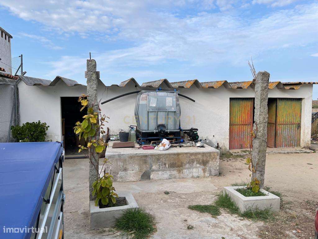 Excelente Terreno em Santa Eulalia/Elvas - Grande imagem: 4/11