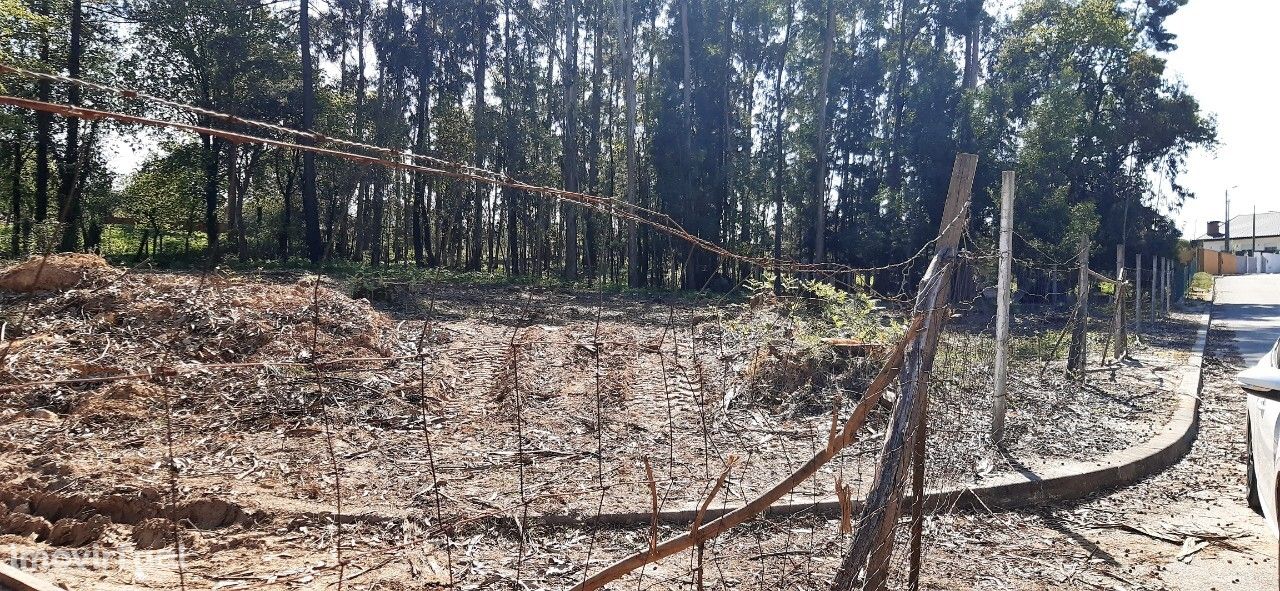 Terreno  Venda em Santa Maria da Feira, Travanca, Sanfins e Espargo,Sa