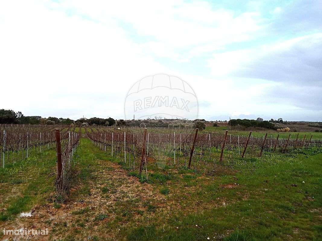 Terreno  para venda - Grande imagem: 3/23