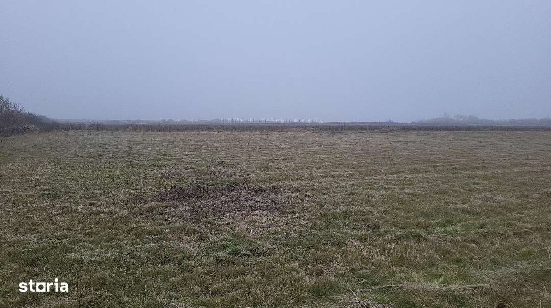 Teren cu proiect de casa in Fughiu, com. Osorhei de vanzare - Imagine principală: 2/2