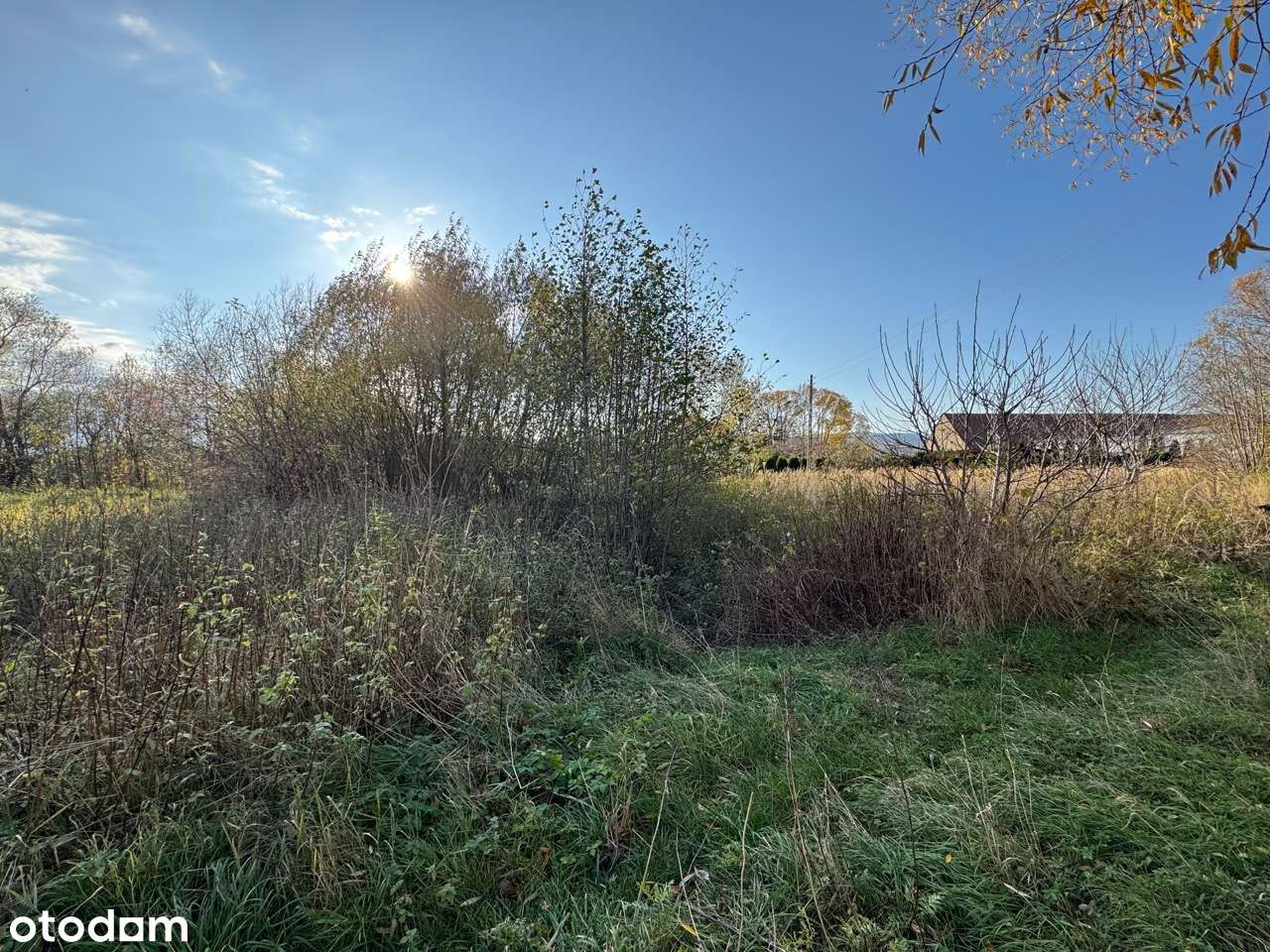Działka budowlana przy głównej drodze Pieszyce | Prywatność-11