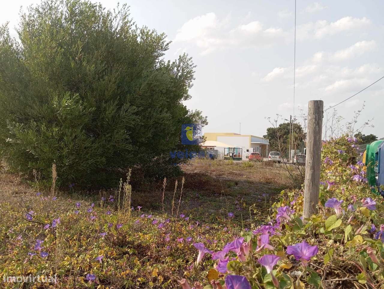 Terreno Caldas da Rainha - Nossa Senhora do Pópulo - Grande imagem: 2/18