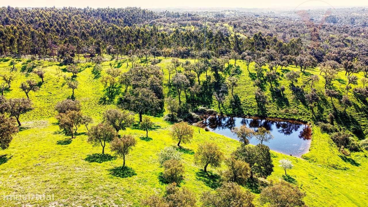 TERRENO EM S.BARTOLOMEU DA SERRA-10