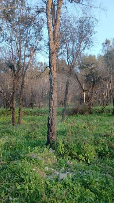 Terreno  para venda - Grande imagem: 4/8