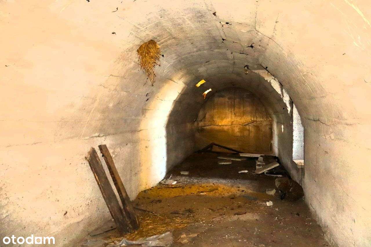 Siedlisko w Głuchowie na dużej działce-12