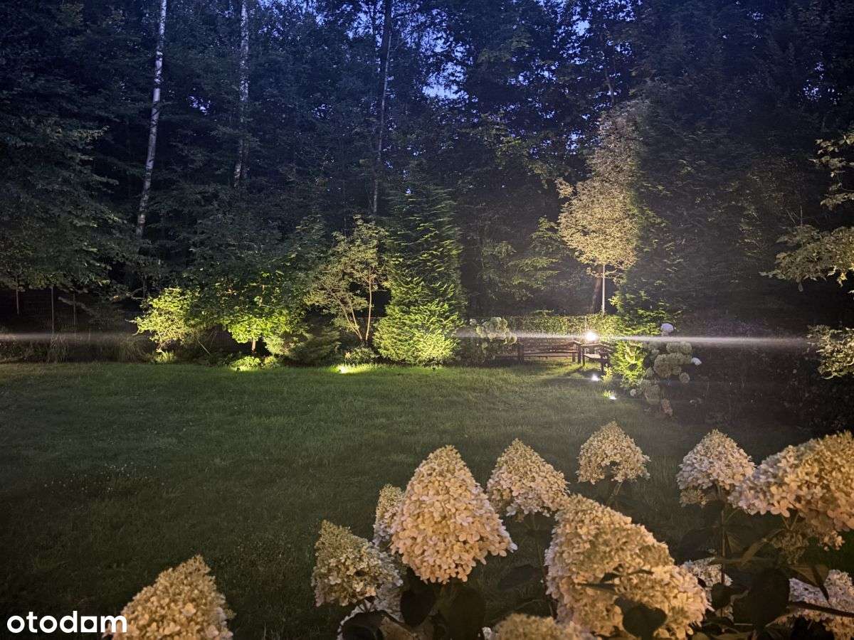 Apartament wtulony w las, 4 miejsca parkingowe-3