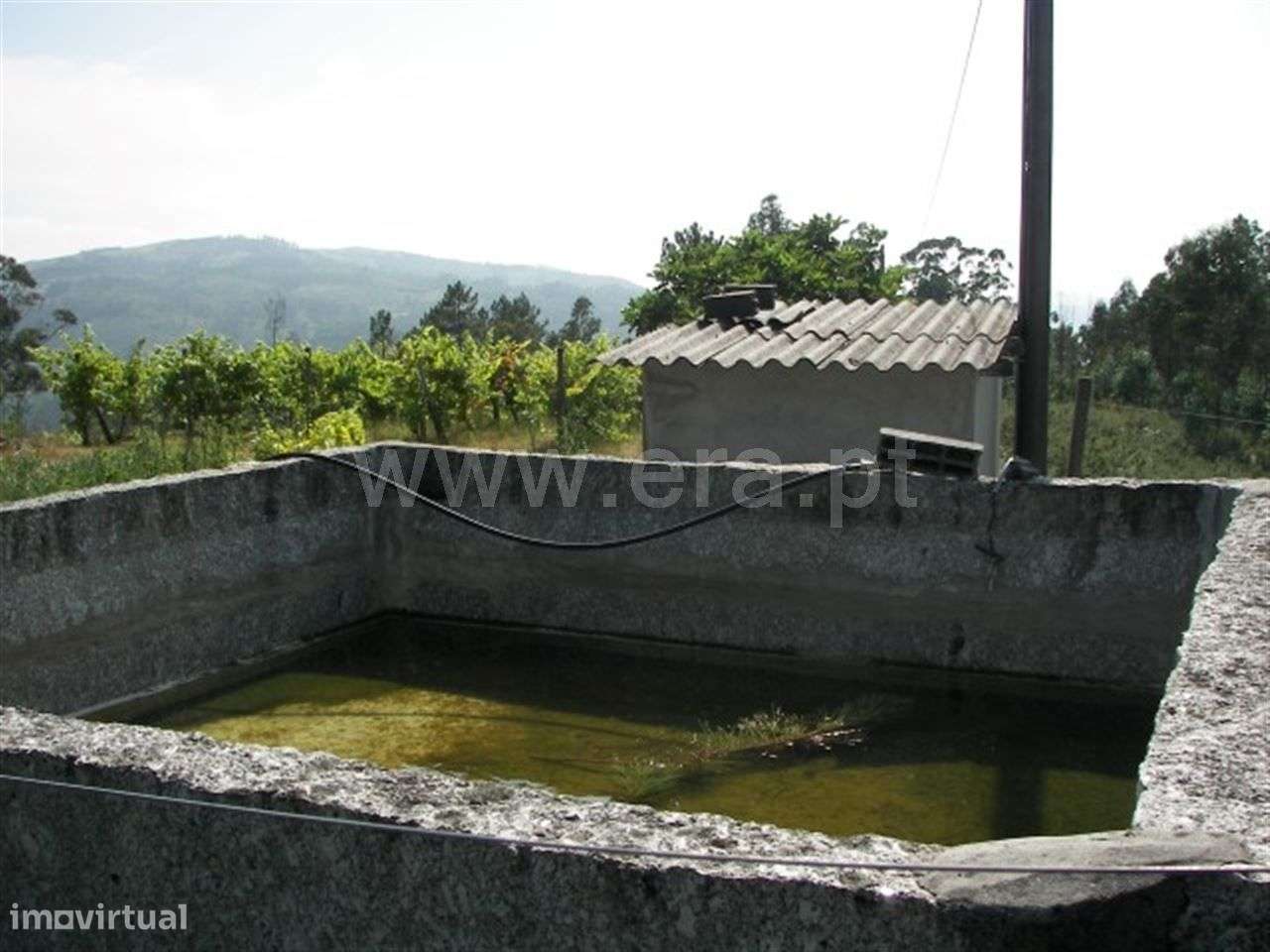 Terreno - Grande imagem: 5/9