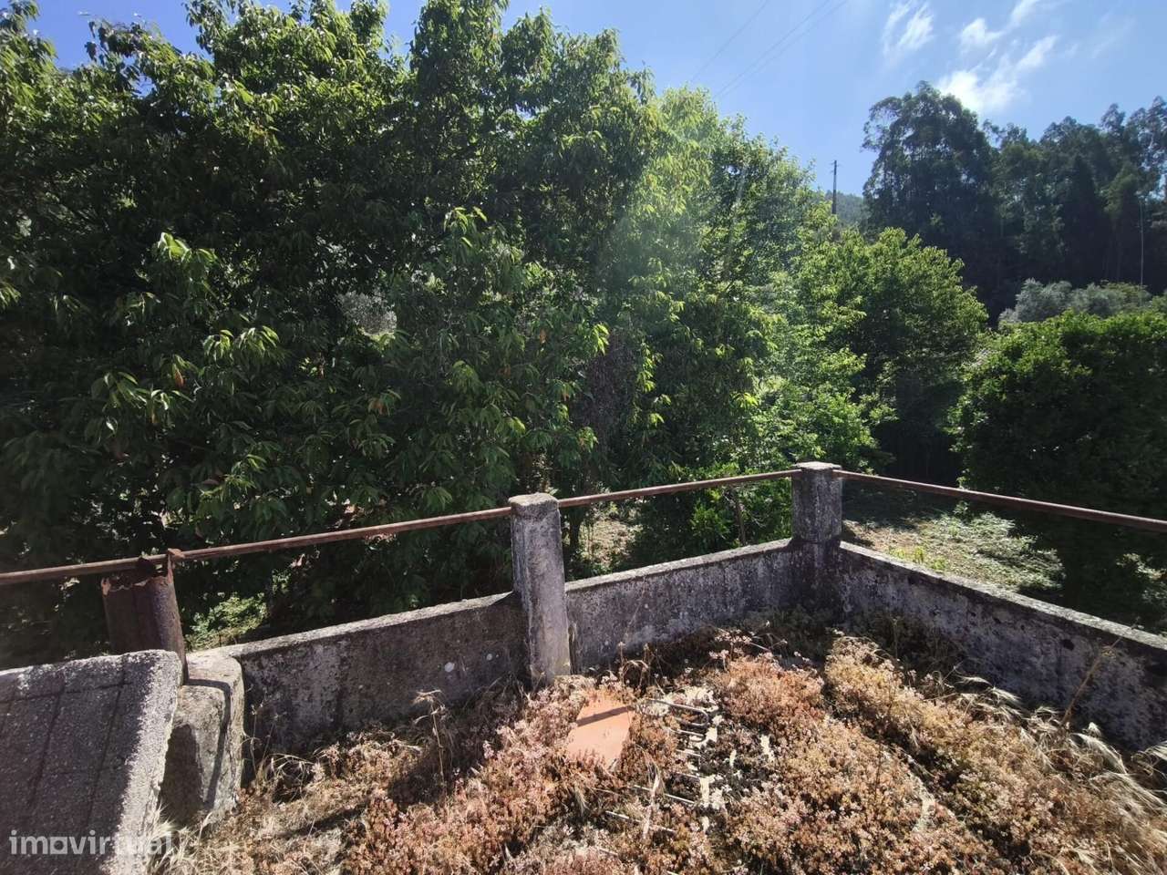 Moradia para recuperar em Casal de Santo Amaro - Penacova-15