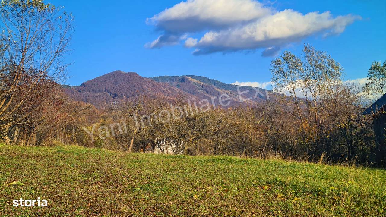 Teren de vânzare în comuna Arefu, județ Argeș. - Imagine principală: 3/15