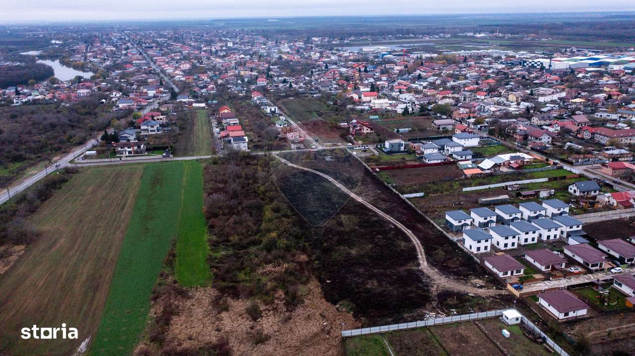 Vanzare teren intravilan 10.000mp Afumati - Strada Teiului-5