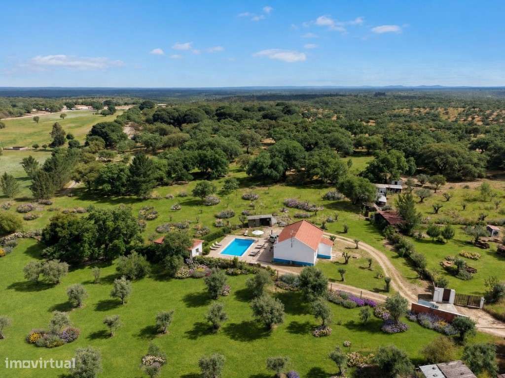 QUINTA (4.500 m2)-18