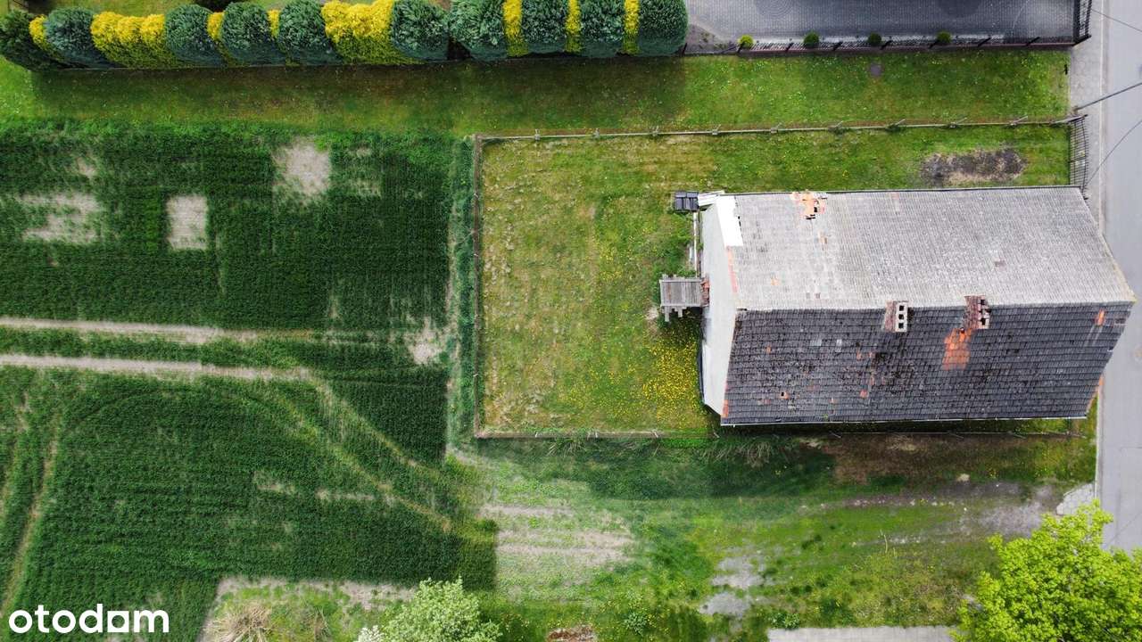 Rynek - 1 km! Opcja dużej działki! NOWE OKNA W CENIE! - Pełny obrazek: 5/16