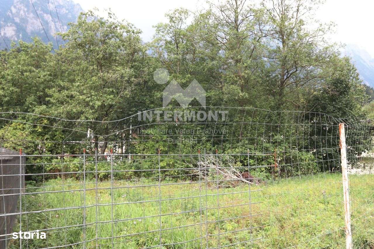 Teren Busteni- intravilan - Imagine principală: 2/7