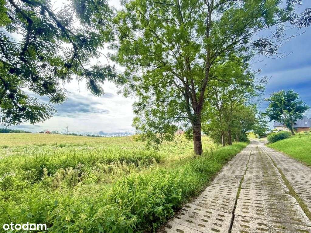 Działka, 6 000 m², Demlin-3