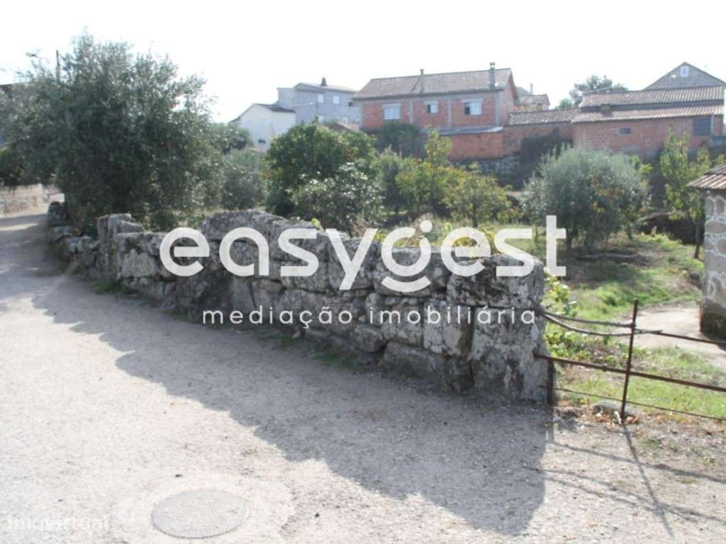 Terreno Rústico em Andorinha, Oliveira do Hospital - Grande imagem: 4/15