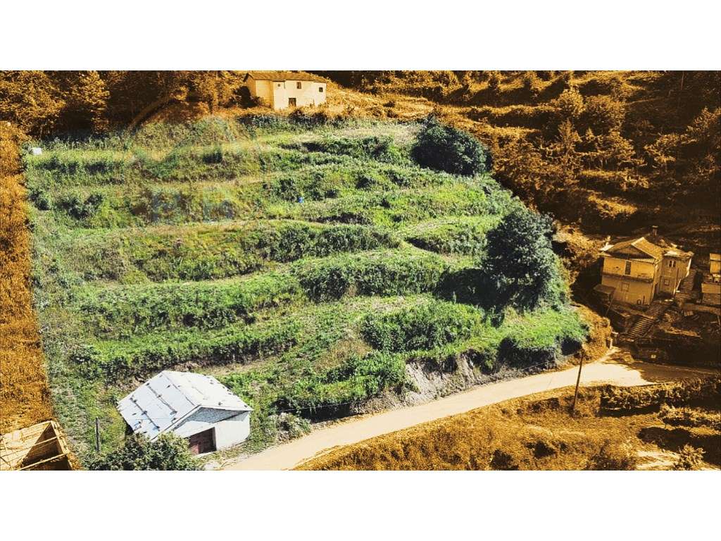 Terreno misto, com 2530 m², na Faia, Cabeceiras de Basto - Grande imagem: 2/7