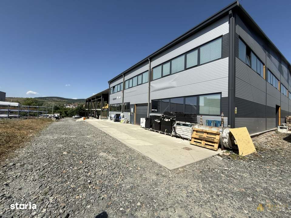 Hale industriale 3000 mp de vanzare in Parcul Industrial Tetarom 1 - Imagine principală: 2/15