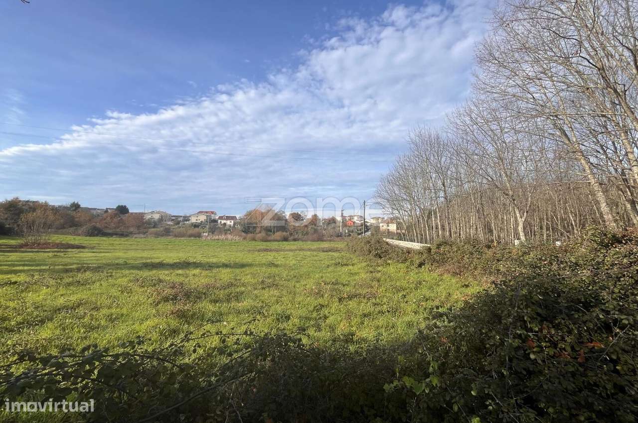 Terrenos em Rio de Loba - EXCELENTE OPORTUNIDADE - Grande imagem: 2/20