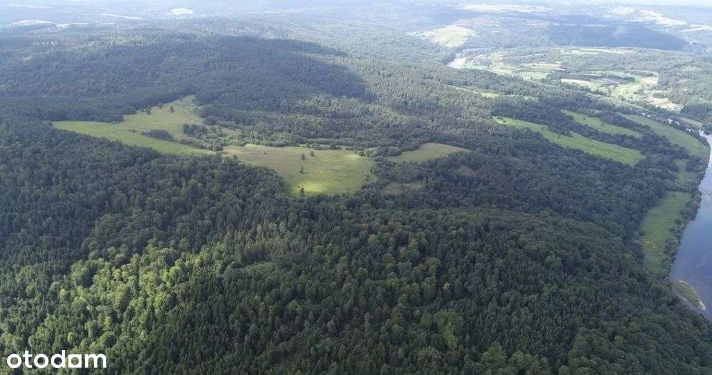 Polchowa Dubiecko 83,97ha woj. podkarpackie - Pełny obrazek: 5/10