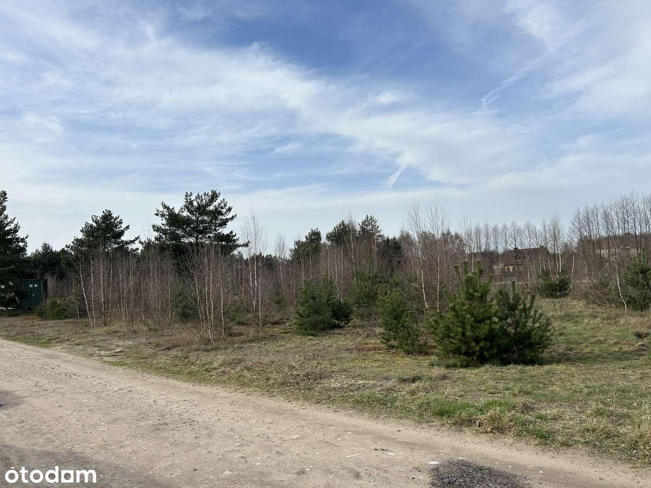 Działki budowlane w środku lasu blisko Wrześni Psary-3