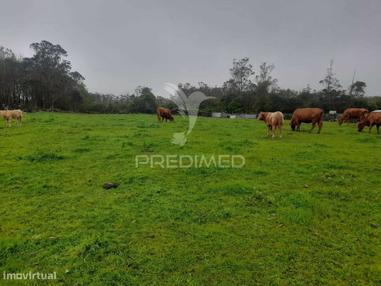 Terreno - São Bartolomeu - Grande imagem: 4/15