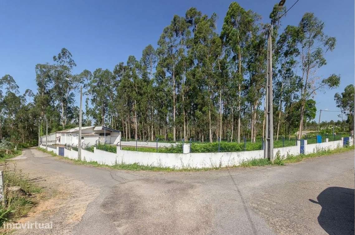 Pavilhão Industrial em Válega, Ovar – Excelente Oportunidade-5