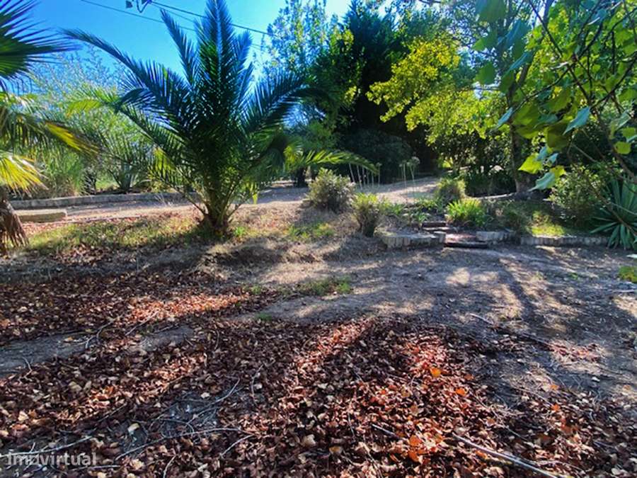 Moradia T5 grande propriedade, pleno campo, arredores Caldas da Rainha-15