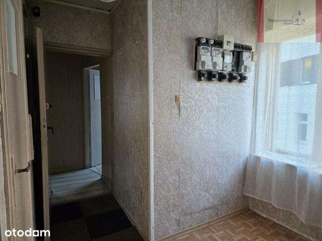 600m od plaży- Jastrzębia Góra (Klonowa)-5