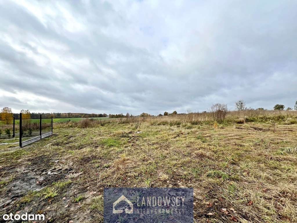 Koteże–działka na Spokojnej, cisza i blisko miasta - Pełny obrazek: 5/12