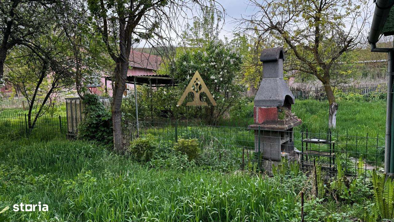 Teren de vanzare 8114 mp si  casa   in Coroisanmartin-Mures - Imagine principală: 2/8