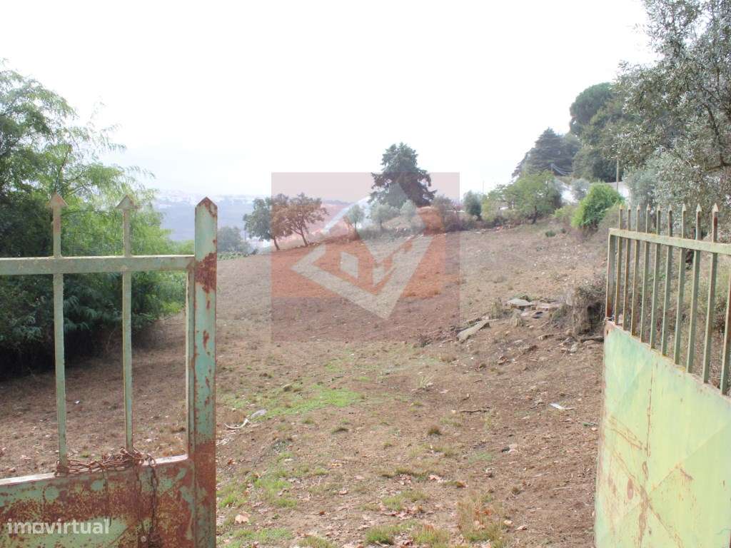 Terreno Rústico em Caneças-2