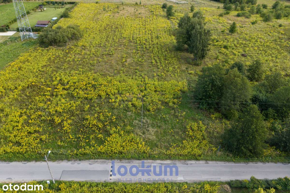 Duża działka pod inwestycję deweloperską  – Widzew-7