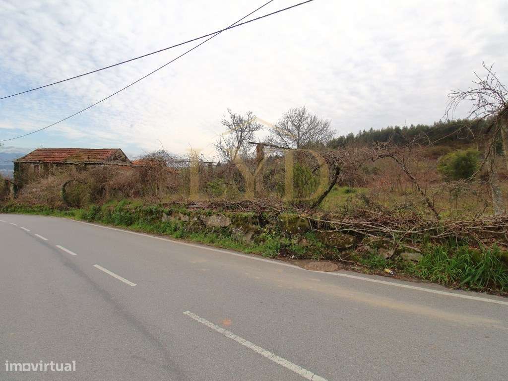 Quintinha para recuperar em Luzim Penafiel-14