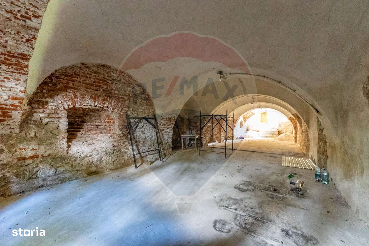 Conac aristocratic secolul XIX , domeniu  2,5 hectare — Păuliș, Arad-16